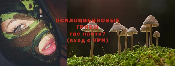 a pvp Пересвет