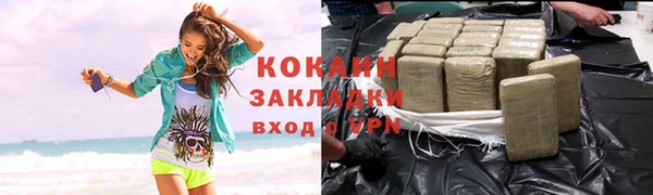 a pvp Пересвет
