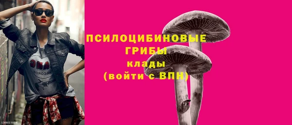 эйфоретик Покачи