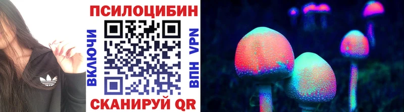 Галлюциногенные грибы мухоморы  цены наркотик  даркнет Telegram  Струнино 